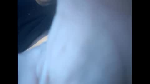 tigers26261022 online show from 3, 3, 2025