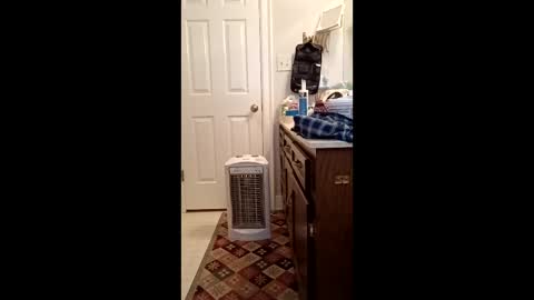 timb800000 online show from 11, 1, 2026