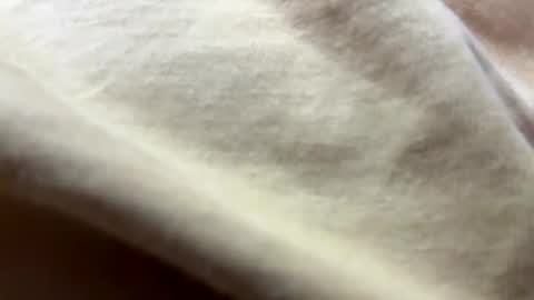 timber2255 online show from 31, 10, 2025