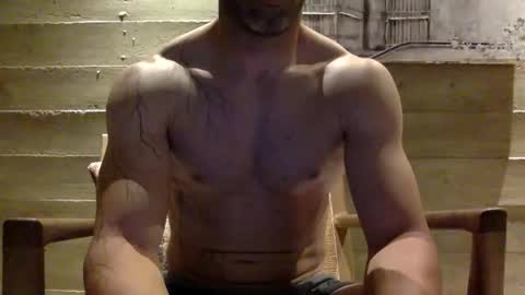 timber2255 online show from 3, 12, 2025