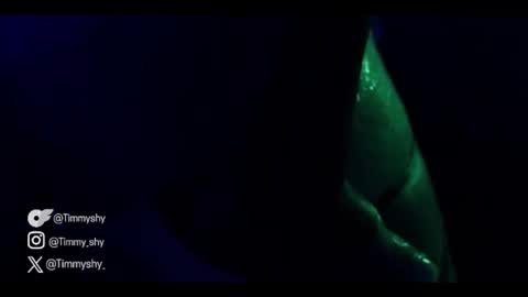 timmyshy online show from 22, 11, 2025