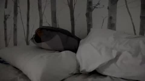 Tim online show from 11, 3, 2025