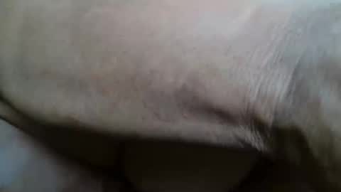 Snapshot of tinagiant chatting on 20, 11, 2025 tinagiant online show from 20, 11, 2025