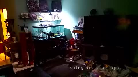 tinalover4u2 online show from 17, 11, 2025