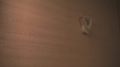 Snapshot of tiny_bunny__ chatting on 22, 2, 2025 Sofia online show from 22, 2, 2025