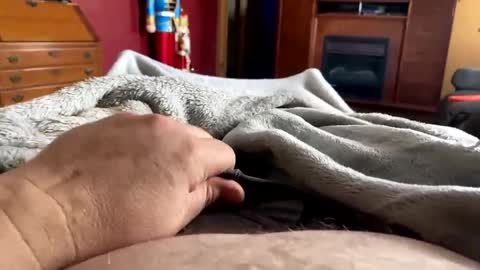 tittiemilk online show from 22, 2, 2025