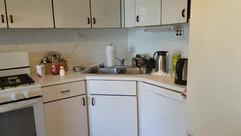 Snapshot of tjstanley1 chatting on 21, 12, 2024 Joe online show from 21, 12, 2024