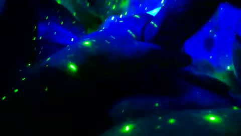 tkerrick28 online show from 10, 2, 2026