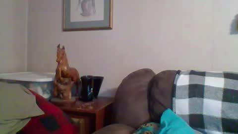 Vols online show from 28, 10, 2025