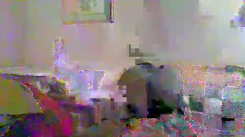 Vols online show from 23, 11, 2025