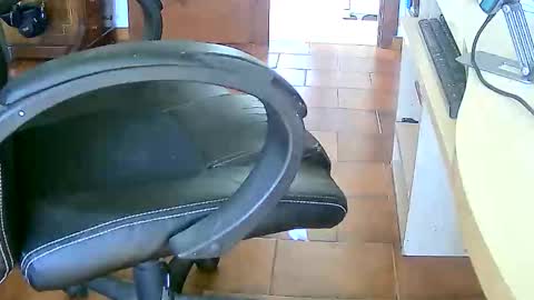 Snapshot of tobikoyuzu chatting on 17, 2, 2026 Tobiko online show from 17, 2, 2026