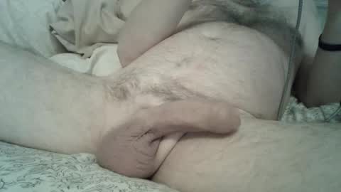 toddbells online show from 24, 3, 2026