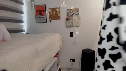 Tokyo  online show from 20, 2, 2026