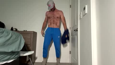 The Beekeeper online show from 17, 11, 2025