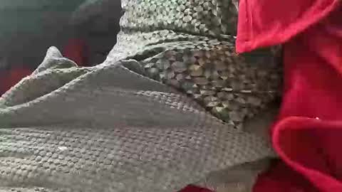 Tom online show from 9, 1, 2025