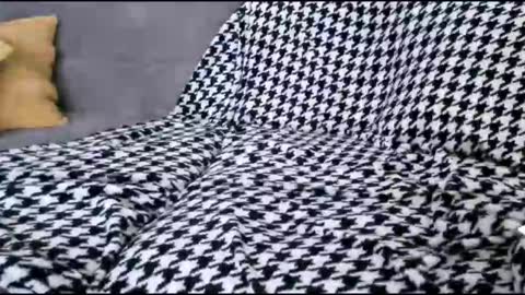 Bima online show from 17, 10, 2025