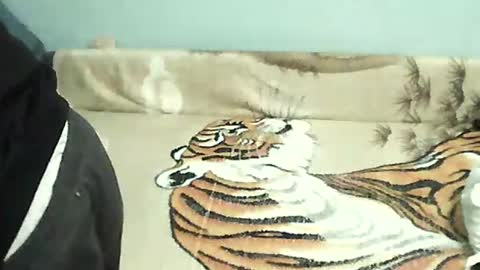 Snapshot of tomekpl30show chatting on 31, 12, 2024 Tomek online show from 31, 12, 2024