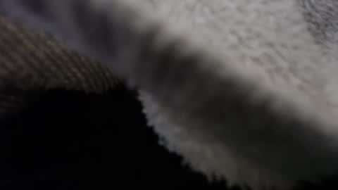   Thomas    online show from 12, 2, 2025