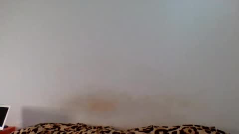 tommyandtomara online show from 17, 6, 2026