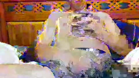 tomygolden online show from 28, 11, 2025