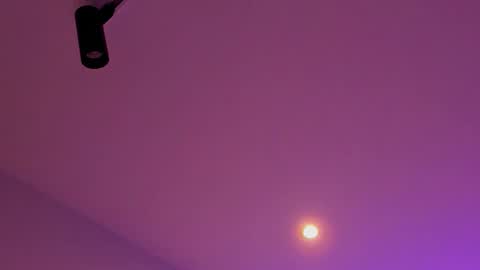 tony_petrov online show from 8, 1, 2026