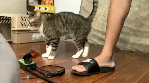 TopTierDrippa online show from 3, 3, 2026