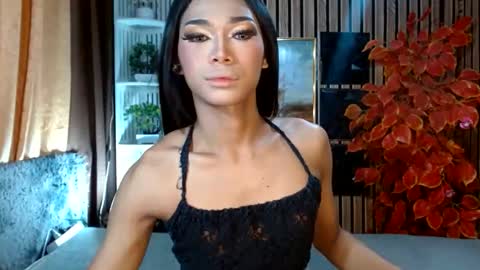 toptrans venice online show from 22, 2, 2026