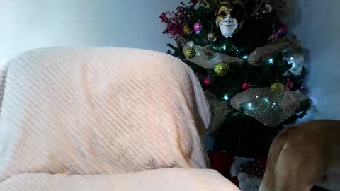 Enzo Moretti online show from 28, 11, 2025