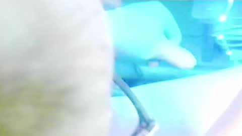 tornne online show from 2, 4, 2026