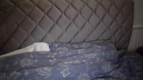 torrino12 online show from 6, 1, 2025