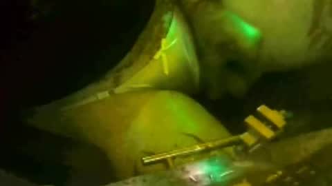 tosexyforjustus online show from 15, 3, 2026