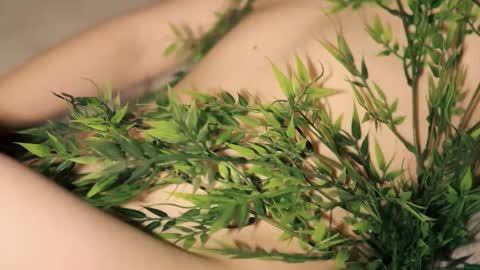 Toshi online show from 12, 1, 2026