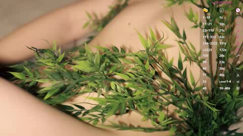 Toshi online show from 19, 1, 2026