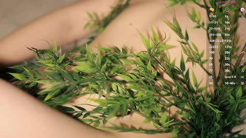 Toshi online show from 10, 4, 2026