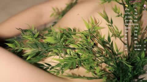 Toshi online show from 13, 4, 2026