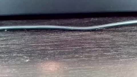 Vasiliy online show from 24, 2, 2025