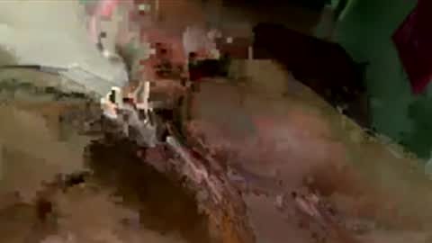 toung2pussycockinyourass online show from 29, 3, 2026