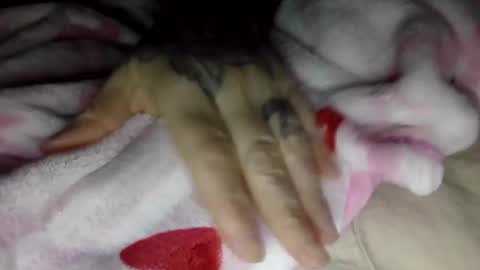 toxicanikki online show from 8, 1, 2026