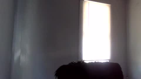 toxicanikki online show from 4, 2, 2026