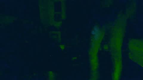 Snapshot of toxicidad_sex chatting on 4, 6, 2026 toxicidad_sex online show from 4, 6, 2026