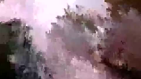 Snapshot of tr0069 chatting on 5, 4, 2026 tr0069 online show from 5, 4, 2026