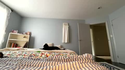 transgirl007 online show from 30, 5, 2026