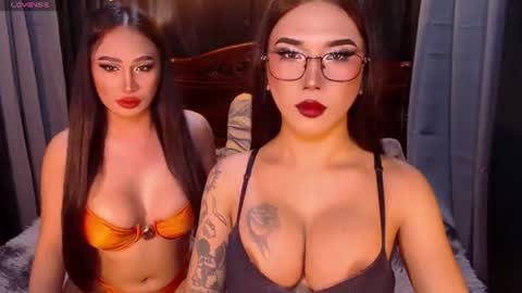 transpornidol online show from 19, 7, 2026