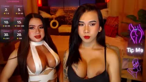transpornidol online show from 20, 7, 2026