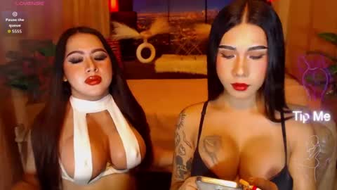 transpornidol online show from 21, 7, 2026