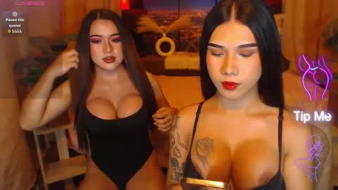 transpornidol online show from 23, 7, 2026