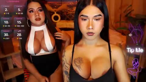 transpornidol online show from 24, 7, 2026