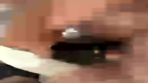 Travismiller online show from 27, 7, 2026