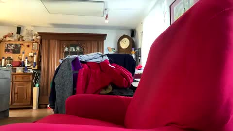 trebgeis1 online show from 18, 2, 2025