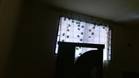 Snapshot of trebol_4 chatting on 21, 5, 2026 trebol_4 online show from 21, 5, 2026